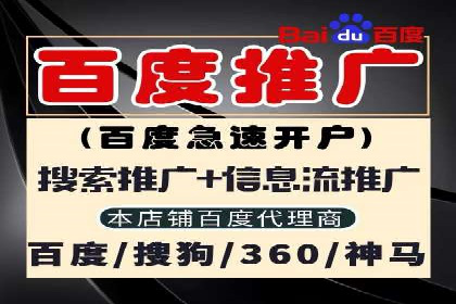 SEM托管服务，成功案例展示转化优势